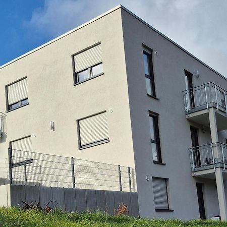 Apartments Seibel Doppel-Zweibettzimmer Mit Bad Reutlingen Esterno foto